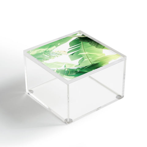 Ann Hudec Jungle Abstract II Acrylic Box