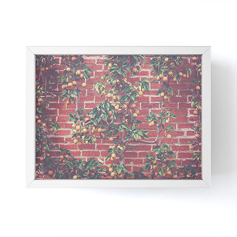 Ann Hudec Pear Tree Espalier Framed Mini Art Print