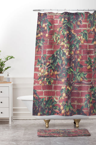 Ann Hudec Pear Tree Espalier Shower Curtain And Mat