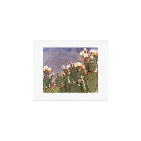 Ann Hudec Prickly Pear Blooms I Art Print