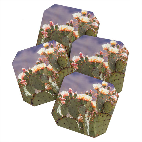 Ann Hudec Prickly Pear Blooms I Coaster Set