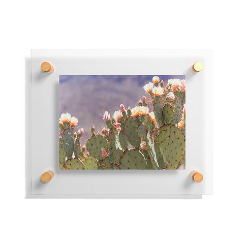 Ann Hudec Prickly Pear Cactus Blooms Floating Acrylic Print
