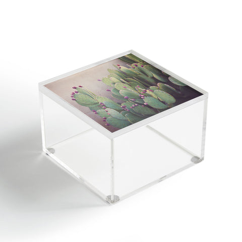 Ann Hudec Still Life in Marfa Acrylic Box