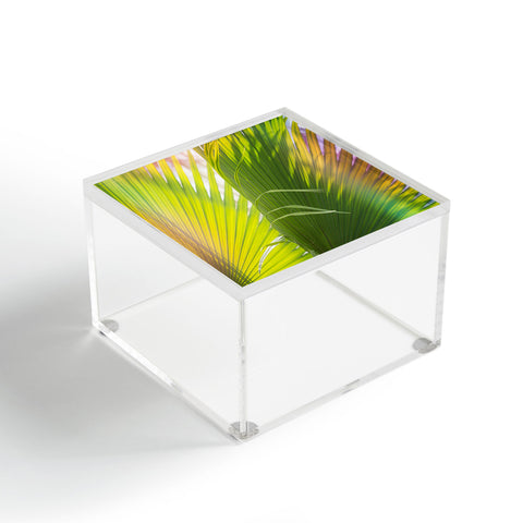 Ann Hudec Summer Forever Acrylic Box