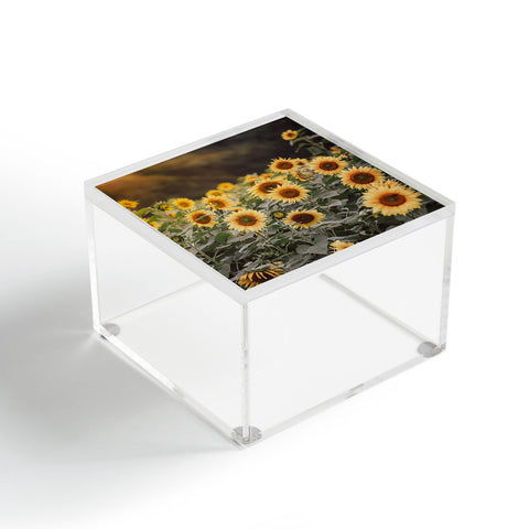 Ann Hudec Sunflower Morning Acrylic Box