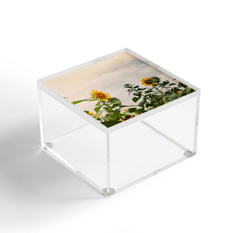 Ann Hudec Texas Sunflower Field Acrylic Box