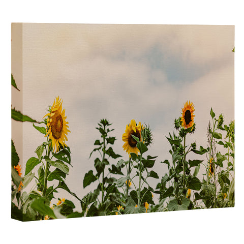 Ann Hudec Texas Sunflower Field Art Canvas