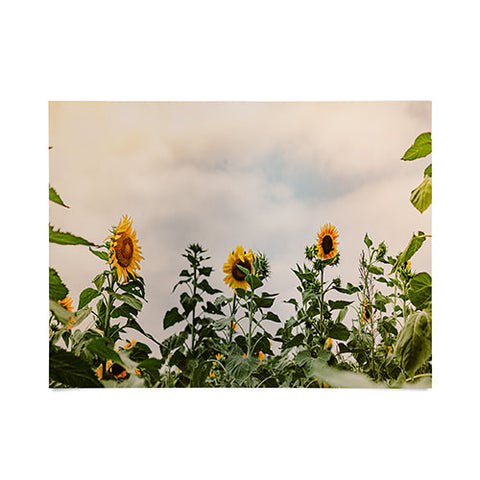 Ann Hudec Texas Sunflower Field Poster