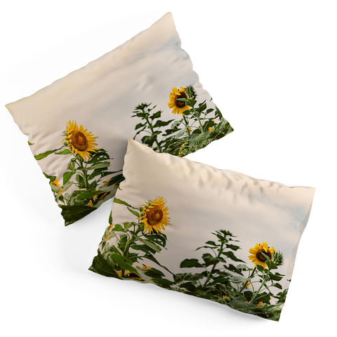 Ann Hudec Texas Sunflower Field Pillow Shams