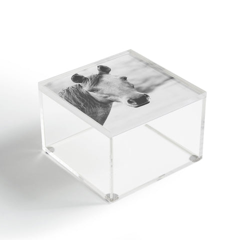 Ann Hudec Wild Heart No 4 Acrylic Box