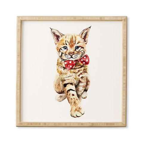 Anna Shell Bobcat cub Framed Wall Art