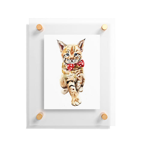 Anna Shell Bobcat cub Floating Acrylic Print