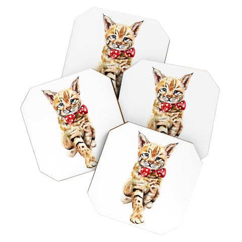 Anna Shell Bobcat cub Coaster Set