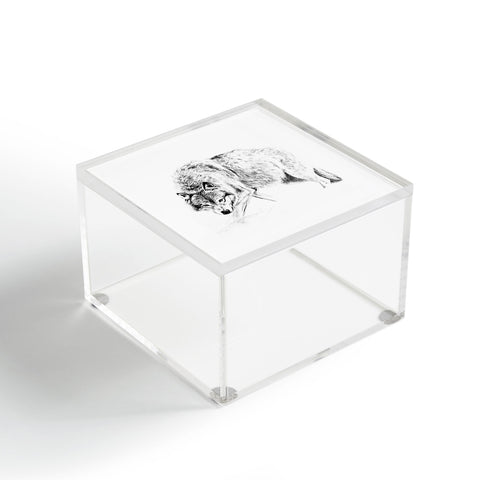 Anna Shell Crouching wolf pencil Acrylic Box