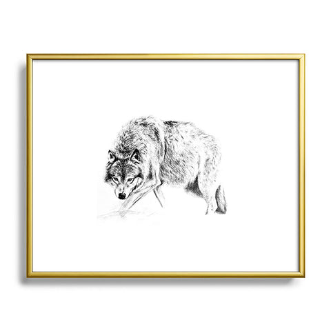 Anna Shell Crouching wolf pencil Metal Framed Art Print