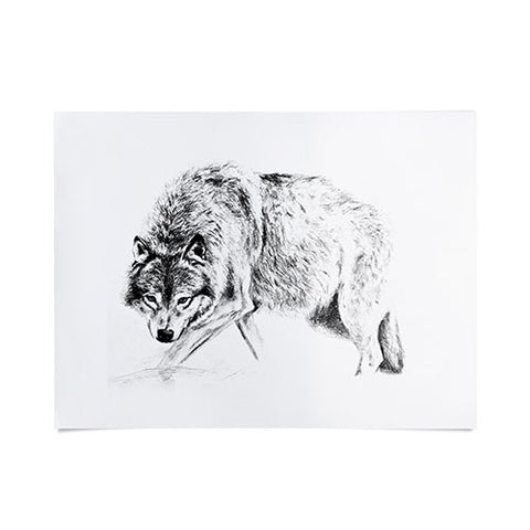 Anna Shell Crouching wolf pencil Poster
