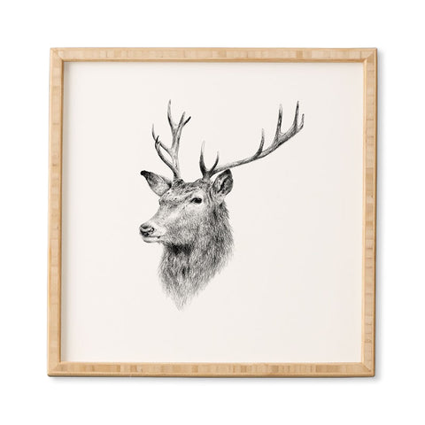 Anna Shell Deer horns Framed Wall Art