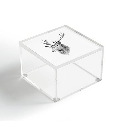 Anna Shell Deer horns Acrylic Box
