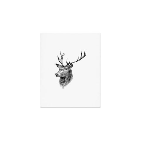 Anna Shell Deer horns Art Print