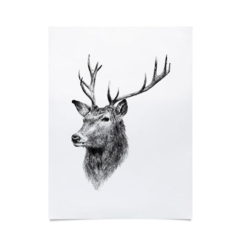 Anna Shell Deer horns Poster