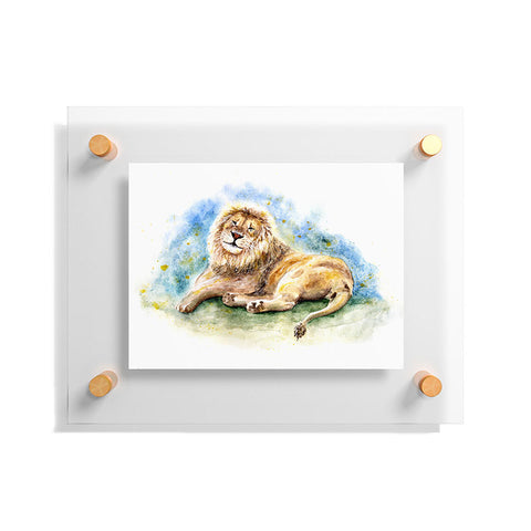 Anna Shell Lazy lion Floating Acrylic Print