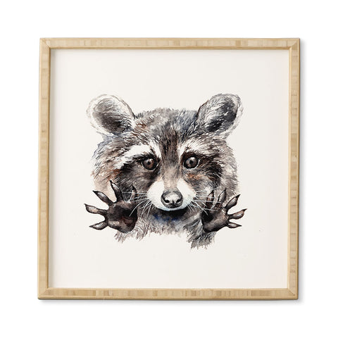 Anna Shell Magic raccoon Framed Wall Art