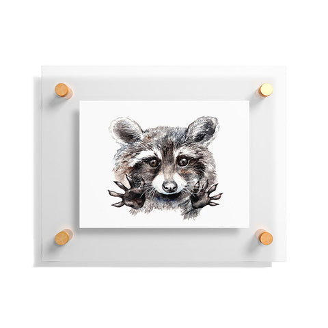 Anna Shell Magic raccoon Floating Acrylic Print