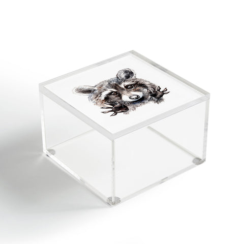 Anna Shell Magic raccoon Acrylic Box