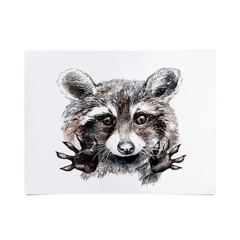 Anna Shell Magic raccoon Poster
