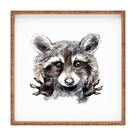 Anna Shell Magic raccoon Square Tray