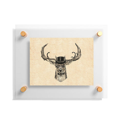 Anna Shell Mr Deer Floating Acrylic Print