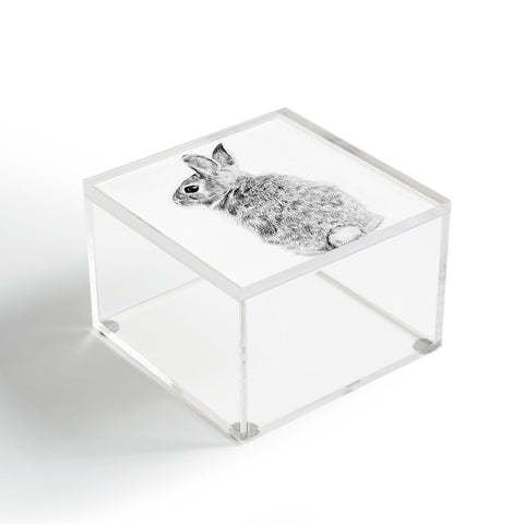 Anna Shell Rabbit drawing Acrylic Box