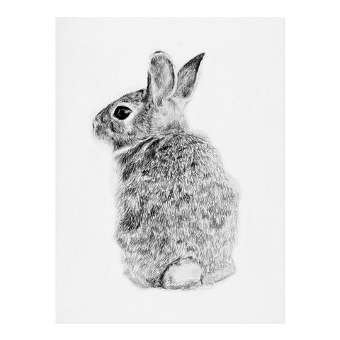 Anna Shell Rabbit drawing Art Print