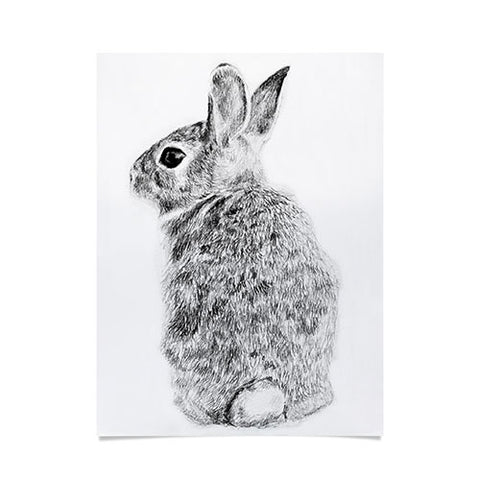 Anna Shell Rabbit drawing Poster