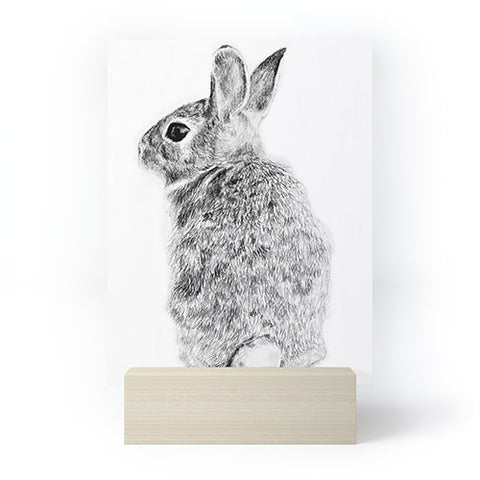 Anna Shell Rabbit drawing Mini Art Print