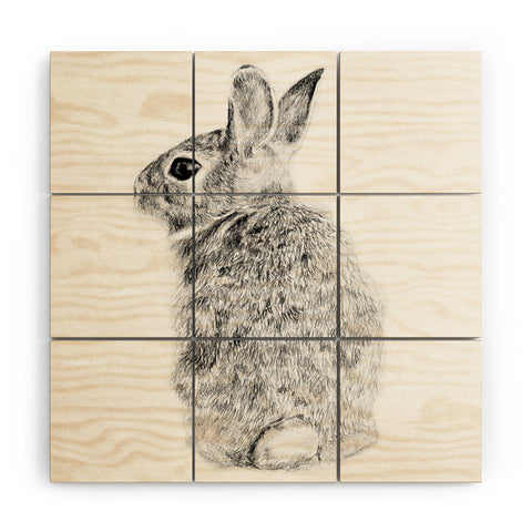 Anna Shell Rabbit Drawing Wood Wall Mural