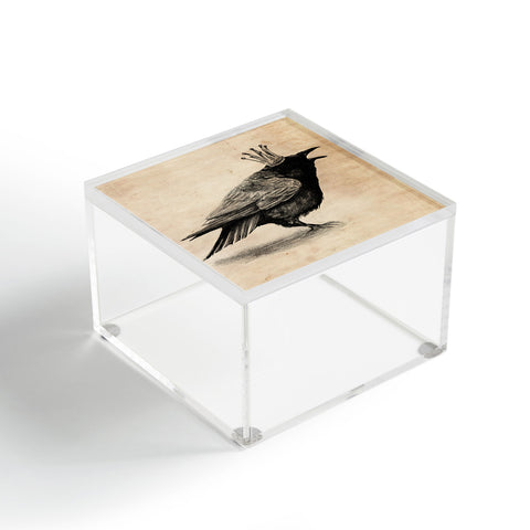 Anna Shell Raven Acrylic Box
