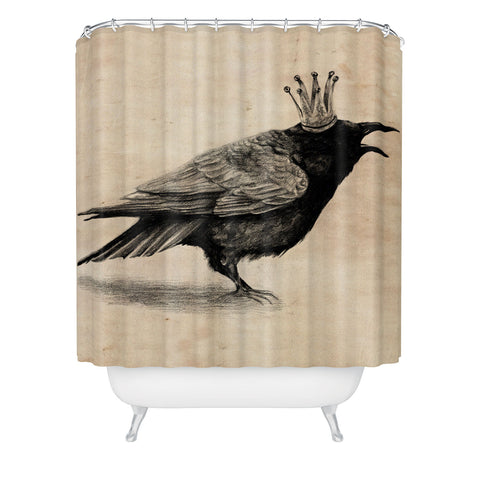 Anna Shell Raven Shower Curtain