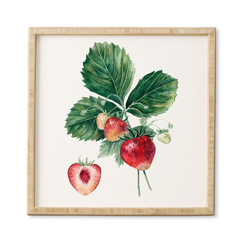 Anna Shell Strawberry botanical art Framed Wall Art