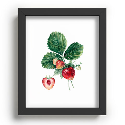 Anna Shell Strawberry botanical art Recessed Framing Rectangle