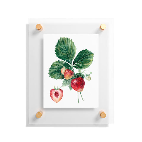 Anna Shell Strawberry botanical art Floating Acrylic Print