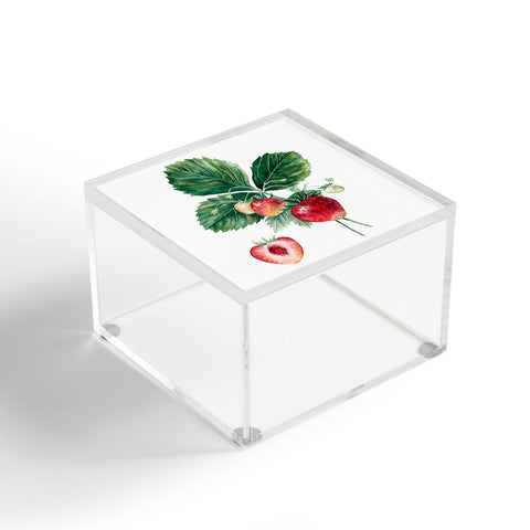 Anna Shell Strawberry botanical art Acrylic Box