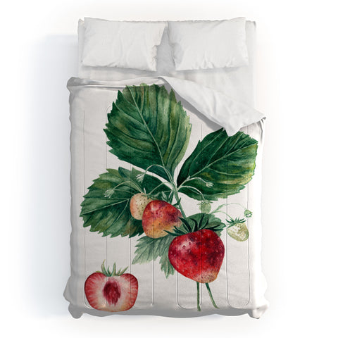 Anna Shell Strawberry botanical art Comforter