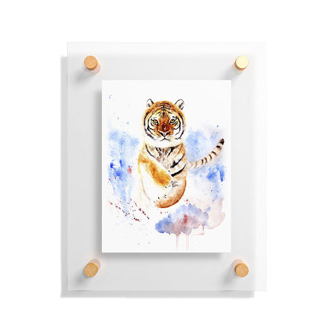 Anna Shell Tiger in snow Floating Acrylic Print