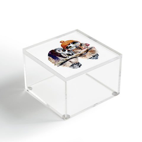 Anna Shell Winter owls Acrylic Box