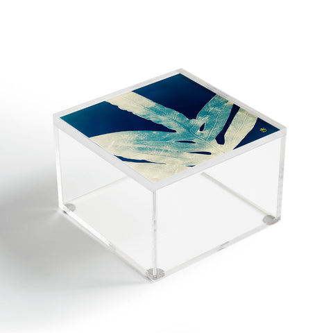 ANoelleJay Green Fern at Midnight Bright Navy Blue Acrylic Box