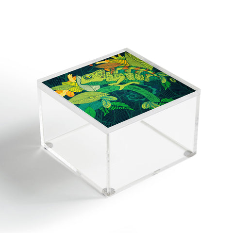 Arcturus Chameleon Acrylic Box