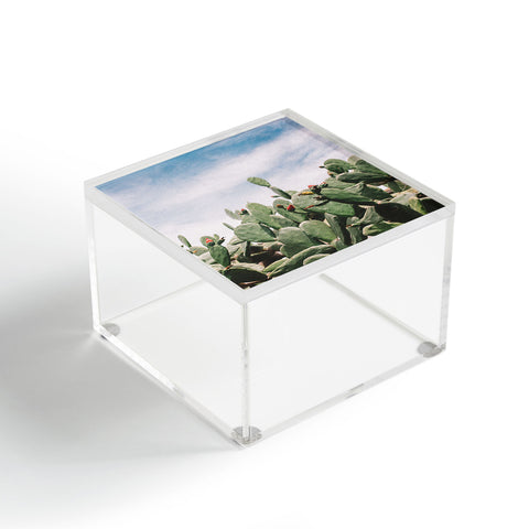 Arina Kogutova Desert flower 1 Acrylic Box