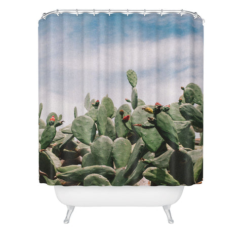 Arina Kogutova Desert flower 1 Shower Curtain