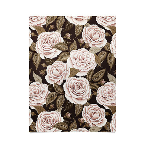 Avenie A Realm Of Roses Dark Academia Poster